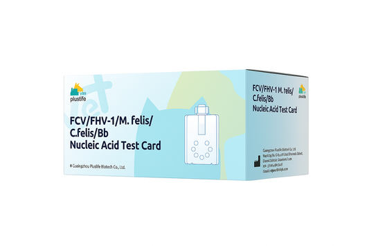 Kit Rápido 5 em 1: Detecção Molecular de Patógenos Respiratórios Felinos (FCV, FHV-1, M. felis, C. felis, Bb)