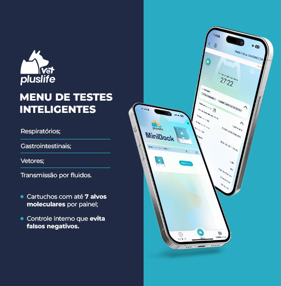 Menu de Testes